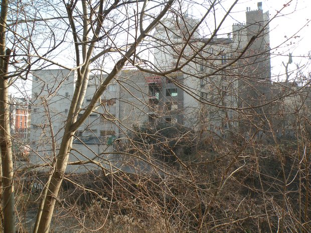  immeubles vus à travers les arbustes